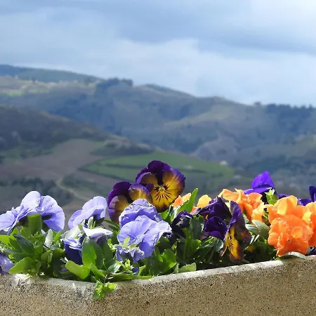Domaine Des Gardette Pensionat Vaux-en-Beaujolais